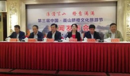 新宁县新闻爆料电话,倾听民声，守护平安的桥梁